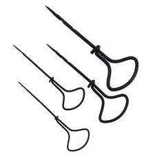 Tifler Kastanienbohrer